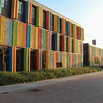 De Lisdodde