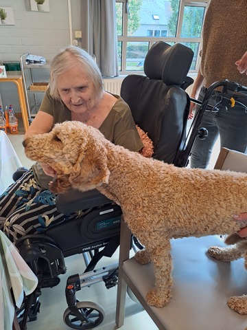 Vrouw en hond